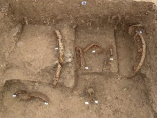 Sirolo - Scoperta necropoli principesca del VI secolo A.C: nella tomba anche il carro del principe
